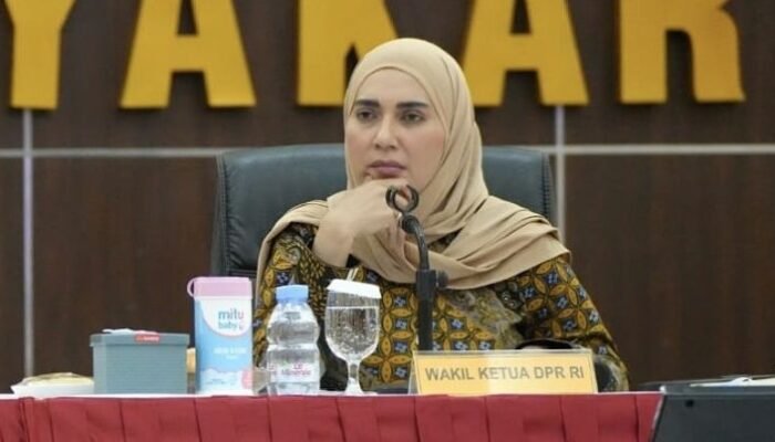 dpr pantau penanganan kasus kekerasan anak di tempat penitipan
