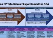 prabowo bentuk bumn khusus ekspor sda, petani sawit waspadai risiko monopoli