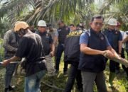 bareskrim selidiki penyebab blackout sumatera, konduktor sutet jambi putus