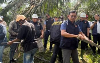 bareskrim selidiki penyebab blackout sumatera, konduktor sutet jambi putus