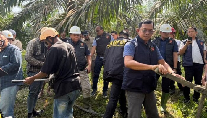 bareskrim selidiki penyebab blackout sumatera, konduktor sutet jambi putus