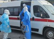 who lacak penumpang mv hondius usai wabah hantavirus tewaskan 3 orang