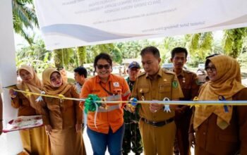 tapsel luncurkan integrasi layanan primer hingga desa, fokus deteksi dini penyakit