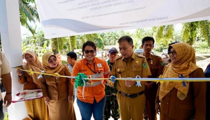 tapsel luncurkan integrasi layanan primer hingga desa, fokus deteksi dini penyakit