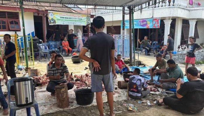 431 warga muhammadiyah pematangsiantar berkurban, 45 sapi dan 24 kambing dikurbankan