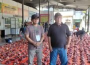 Unmuha sembelih 14 hewan kurban, salurkan 780 paket daging untuk masyarakat unmuha sembelih 14 hewan kurban, salurkan 780 paket daging untuk masyarakat