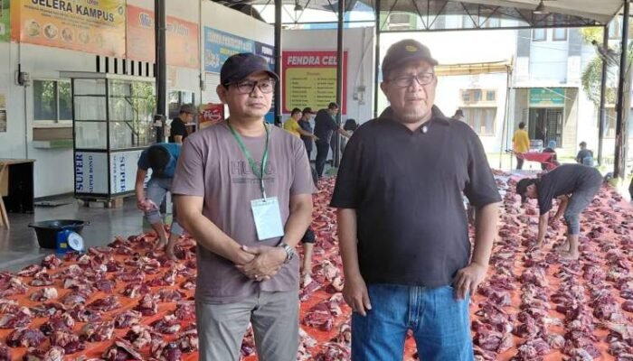 unmuha sembelih 14 hewan kurban, salurkan 780 paket daging untuk masyarakat