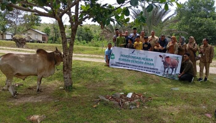 momen haru di dayah wakaf barbate saat terima bantuan sapi kurban dari kalbe farma