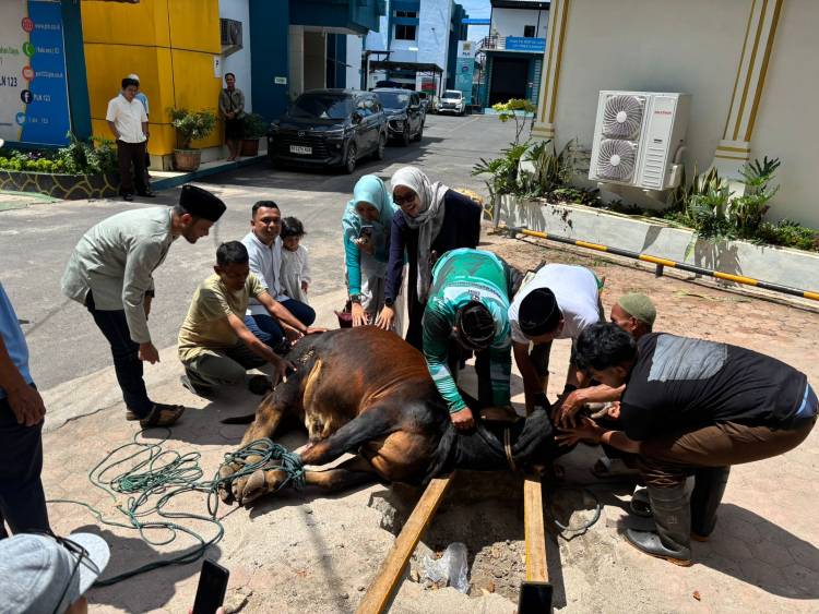 pln up3 siantar salurkan 150 paket daging kurban, wujud kepedulian di hari raya idul adha