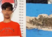 terkait narkotika jenis tanaman, polisi tangkap pemuda 19 tahun di sumber jaya, siantar
