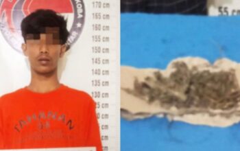 terkait narkotika jenis tanaman, polisi tangkap pemuda 19 tahun di sumber jaya, siantar