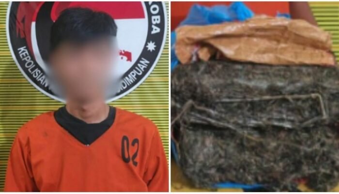 ucok diringkus polres sidimpuan di depan pasar buah, ganja 1,951 kg disita