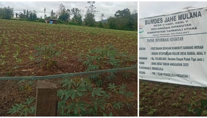 warga soroti pengelolaan dana bumdes jahe mulana rp143 juta di taput