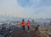karhutla mengganas di sumatra, riau catat 15 ribu hektare lahan terbakar