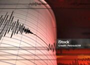 gempa m 7,7 guncang laut sulawesi, warga pesisir di lima provinsi diimbau waspadai tsunami