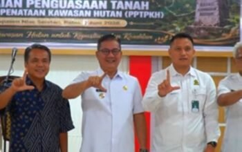 70 persen wilayah nias selatan masih kawasan hutan, bupati bersuara