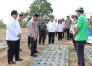 Kapolda sumut tinjau bawang putih di samosir, target kurangi impor kapolda sumut tinjau bawang putih di samosir, target kurangi impor