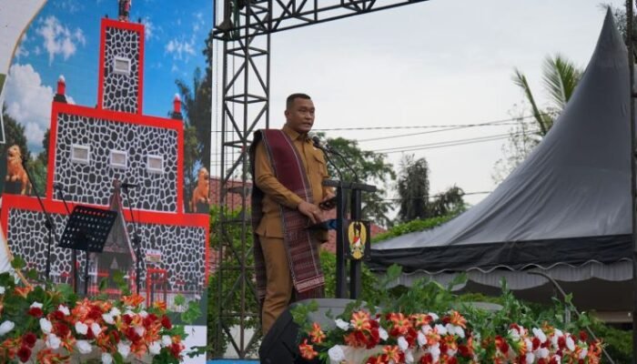 tni ad bangun jalan dan sumur di toba, bupati beri apresiasi