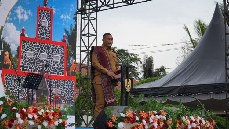 tni ad bangun jalan dan sumur di toba, bupati beri apresiasi