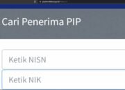 Dana pip juni 2026 mulai disalurkan, cek besaran bantuan dan jadwal pencairannya dana pip juni 2026 mulai disalurkan, cek besaran bantuan dan jadwal pencairannya