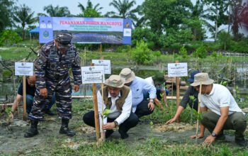 hadapi perubahan iklim di sumut, penanaman pohon dan mangrove jadi solusinya