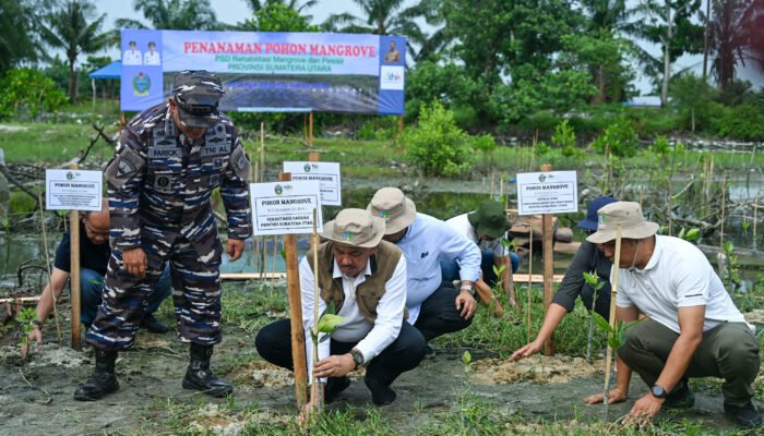 hadapi perubahan iklim di sumut, penanaman pohon dan mangrove jadi solusinya