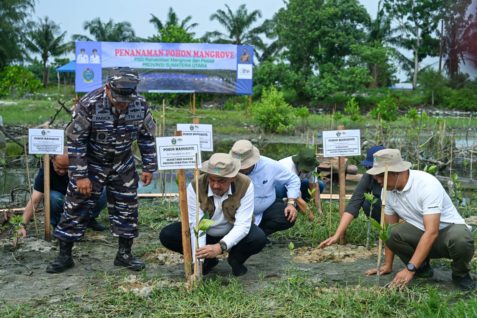 hadapi perubahan iklim di sumut, penanaman pohon dan mangrove jadi solusinya