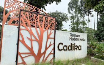 pelatih timor leste puji kondisi lapangan sepak bola cadika medan: cukup bagus dan standar internasional