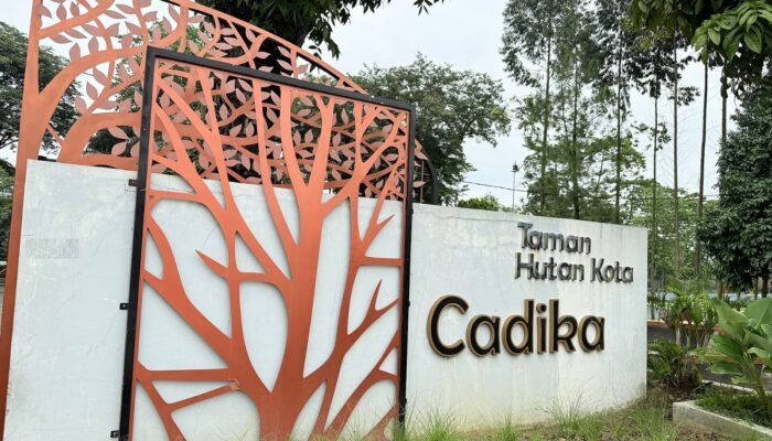 pelatih timor leste puji kondisi lapangan sepak bola cadika medan: cukup bagus dan standar internasional