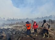 karhutla dan angin kencang dominasi bencana awal juni, bnpb: waspadalah