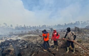 karhutla dan angin kencang dominasi bencana awal juni, bnpb: waspadalah