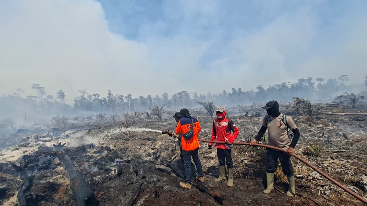 karhutla dan angin kencang dominasi bencana awal juni, bnpb: waspadalah