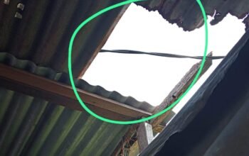 Kabel listrik jatuh ke seng rumah warga selama 4 hari, pln lambat merespons kabel listrik jatuh ke seng rumah warga selama 4 hari, pln lambat merespons