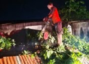 Pohon tumbang timpa 2 kios, mobil dan sepeda motor, bpbd siantar kerja ekstra pohon tumbang timpa 2 kios, mobil dan sepeda motor, bpbd siantar kerja ekstra