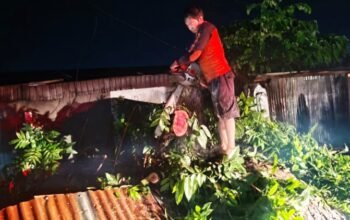 Pohon tumbang timpa 2 kios, mobil dan sepeda motor, bpbd siantar kerja ekstra pohon tumbang timpa 2 kios, mobil dan sepeda motor, bpbd siantar kerja ekstra