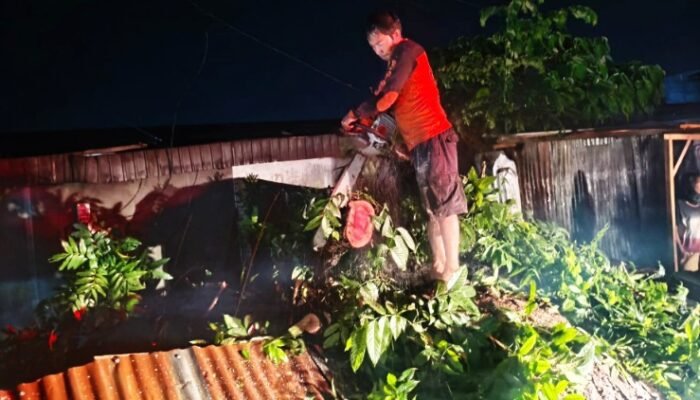 pohon tumbang timpa 2 kios, mobil dan sepeda motor, bpbd siantar kerja ekstra