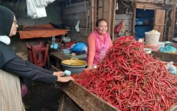 Dampak mbg, pedagang pasar dwikora keluhkan pasokan menipis, penjualan menurun dampak mbg, pedagang pasar dwikora keluhkan pasokan menipis, penjualan menurun