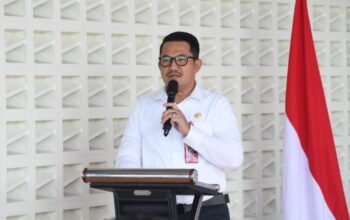 dpmptsp nisel gelar sosialisasi pembinaan umkm dan koperasi