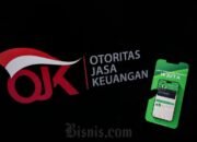 ojk awasi khusus 8 pinjol bermasalah, kredit macet dan modal jadi kendala