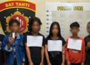 warung tuak di balige digerebek, polisi sita ratusan gram ganja dan 6 orang diamankan