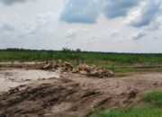 gerai kdmp nagori bahlias simalungun terbengkalai dua pekan, proyek mandek