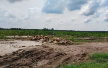 gerai kdmp nagori bahlias simalungun terbengkalai dua pekan, proyek mandek