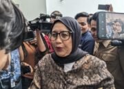 dari wartawan hingga kepala bgn, ini jejak karier nanik deyang