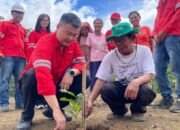 sambut hari lingkungan hidup, pt dpm bagikan bibit kepada petani