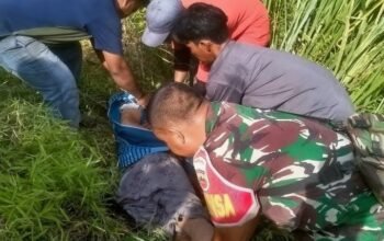 pejalan kaki tewas tertabrak kereta barang di jalur kuala tanjung-bandar tinggi