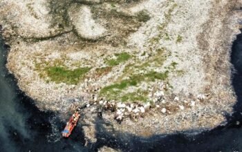 pulau sampah muara angke dibersihkan, pemprov dki angkut 8,8 ton sampah