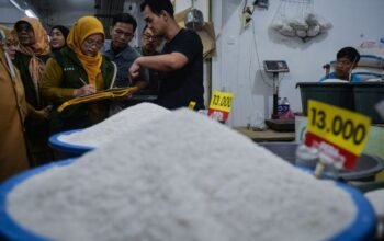 harga beras naik di semua tingkat distribusi, bps ungkap lonjakan mei 2026