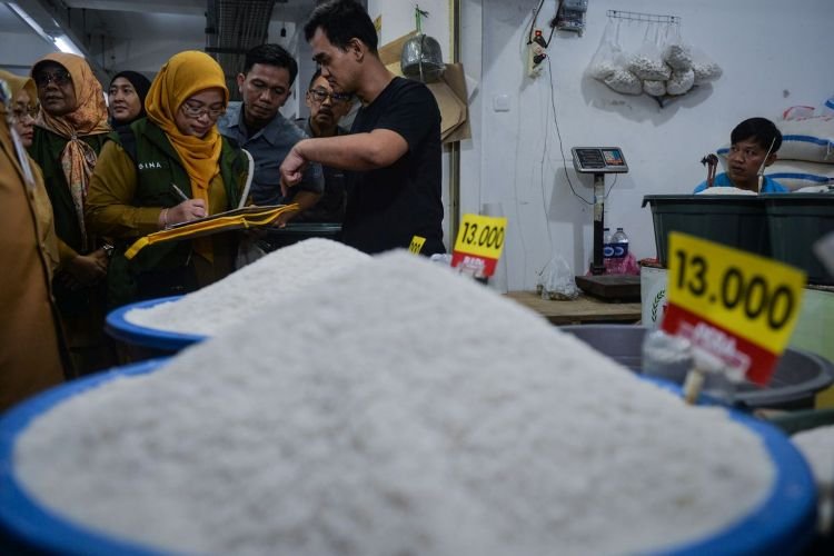 harga beras naik di semua tingkat distribusi, bps ungkap lonjakan mei 2026